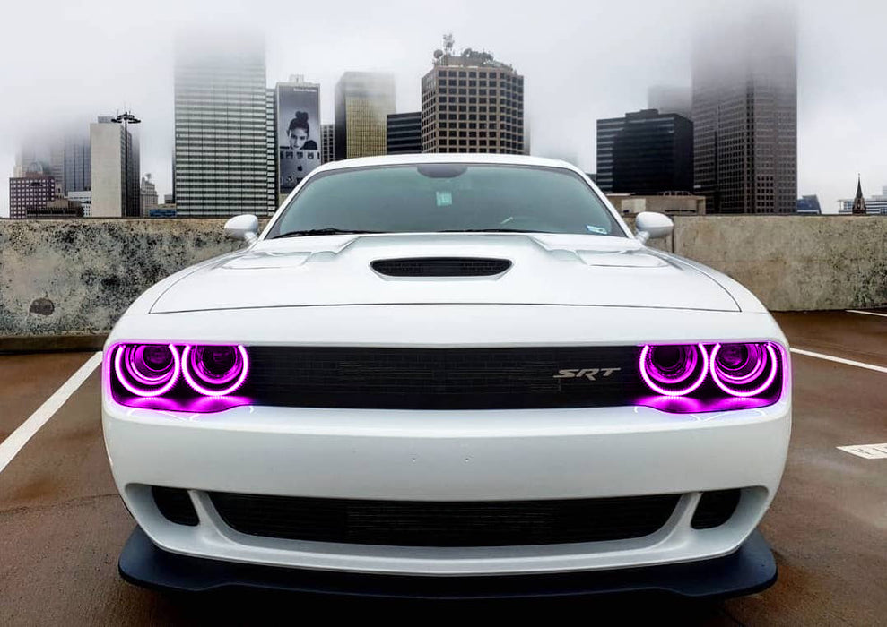Front end of a white Dodge Challenger with pink LED headlight halo rings installed.