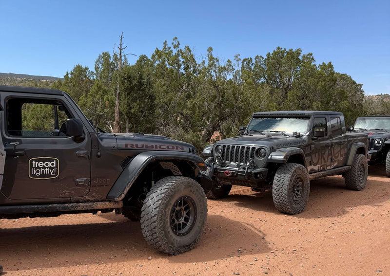 Protecting the View: TreadLightly! Fencing Project on Top of the World Trail