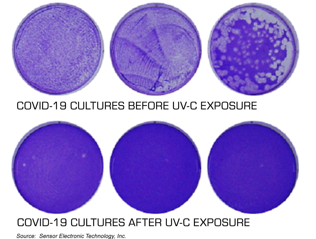 Effectiveness of UV-C LED Irradiation against Coronavirus/ COVID-19