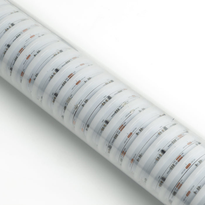 ORACLE Lighting XTREME 2.5D Dynamic Plasma ColorSHIFT LED Whip 24” Length- BC2 - PRE-ORDER