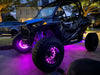 Polaris RZR with purple LED wheel rings.