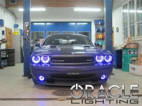 Front end of a Dodge Challenger with purple LED headlight and fog light halo rings.
