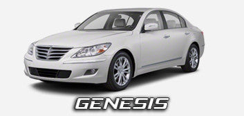 2009-2010 Hyundai Genesis Products