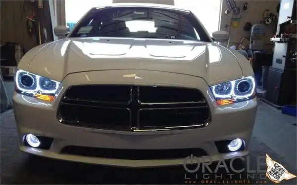 ORACLE Lighting 1119-002 - Dodge Charger 2011-2014 LED Fog Halo Kit ORACLE Lighting 1119-002 - Dodge Charger 2011-2014 LED Fog Halo Kit
