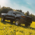 Black pickup truck in a grassy field with trees in the background