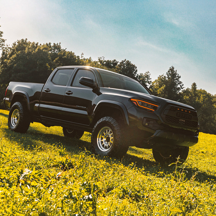 Black pickup truck in a grassy field with trees in the background