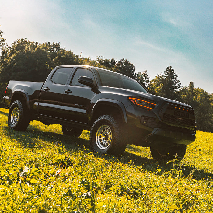 Black pickup truck in a grassy field with trees in the background