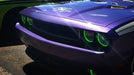 Close-up on the front end of a purple Dodge Challenger, with green LED headlight and fog light halo rings installed.