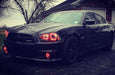 Three quarters view of a black Dodge Charger with red LED headlight and fog light halo rings installed.