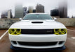 Front end of a white Dodge Challenger with yellow LED headlight halo rings installed.