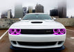 Front end of a white Dodge Challenger with pink LED headlight halo rings installed.