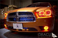 Front end of a Dodge Charger with amber LED headlight and fog light halo rings installed.