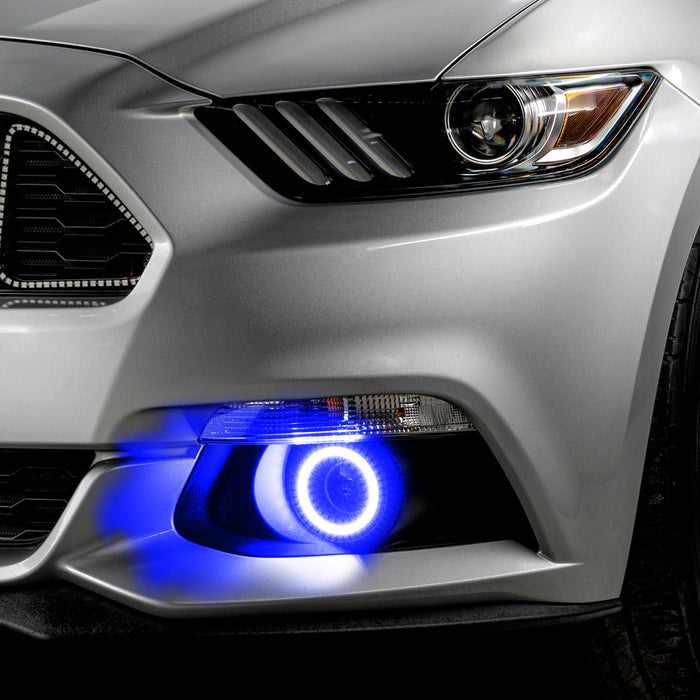 Close-up of mustang with blue fog light halos
