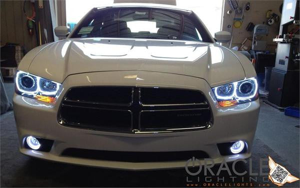 Front end of a Dodge Charger with white LED headlight and fog light halo rings installed.