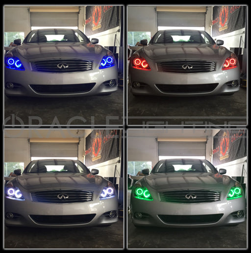 Grid view of Infiniti Q60 showing different color headlight halo rings.